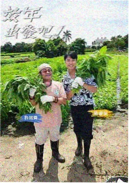 荒野厨房美国篇 美食真人秀海报